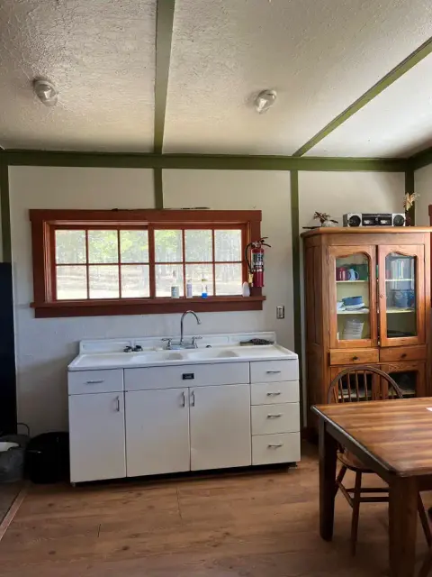 An indoor view of a rustic kitchen with a white double-basin sink, a wooden cabinet, and a window looking out at trees.