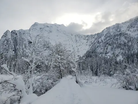 A snowy mountain landscape with frosted trees and a path covered in snow under an overcast sky.