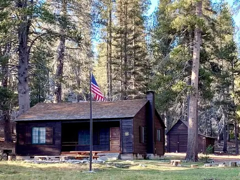 A dark wooden cabin nestled among tall pine trees with an American flag flying in front.