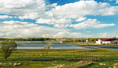 A large fish hatchery facility with outdoor ponds under a cloudy sky.