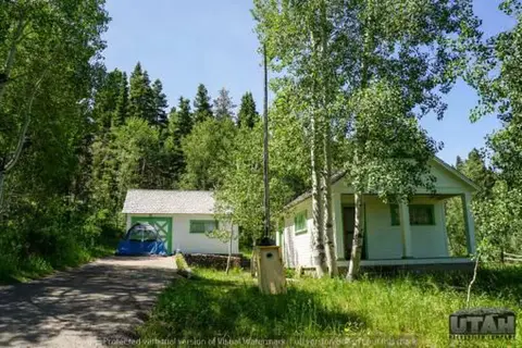 A small cabin and garage surrounded by trees and greenery.