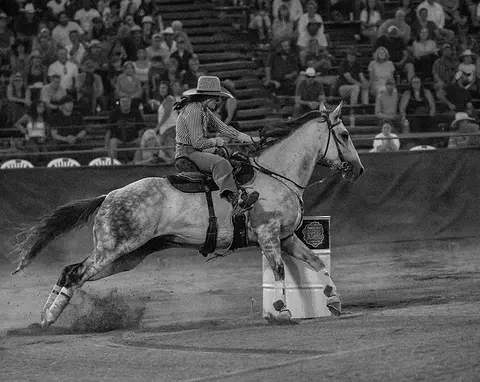 A rider on a horse rounding a barrel in an arena.