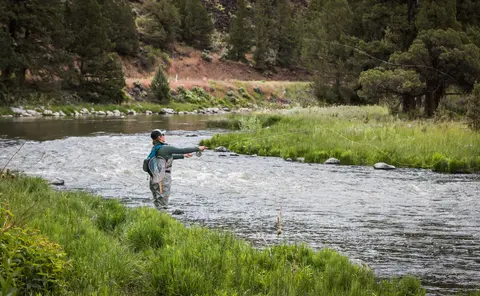 A person fly fishes in a river surrounded by trees and grassy banks.