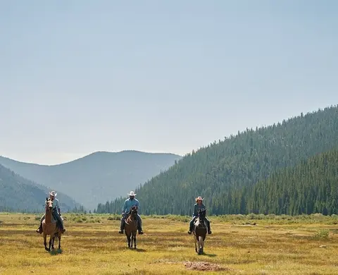 Three people ride horses across a field with forested mountains in the background.