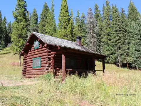 A log cabin sits in a grassy clearing surrounded by tall pine trees.
