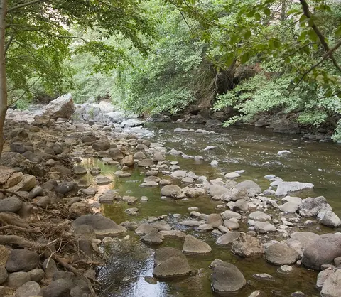 Succor Creek State Natural Area.