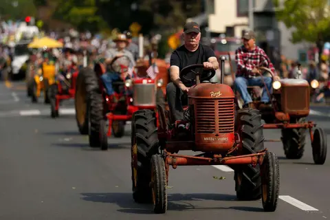 A line of vintage tractors driving down a street in a parade.