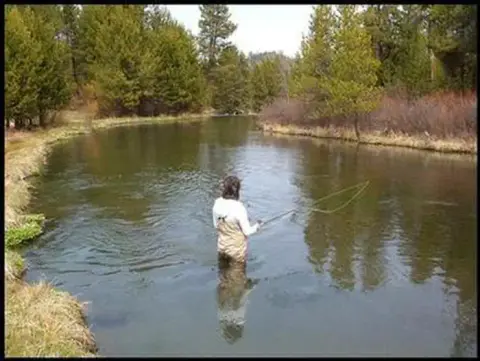 A person fly fishing in a river surrounded by trees.