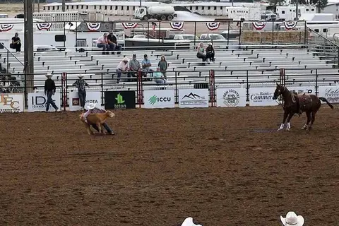 A rodeo event in progress with a cowboy wrestling a calf.