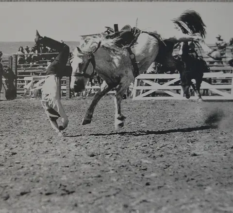 A black and white photograph showing a cowboy bucking off a horse in an arena.