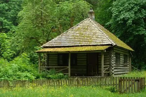 A log cabin stands in a clearing surrounded by lush green trees.