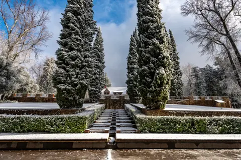 A snow-covered garden features tall evergreen trees flanking stone stairs.