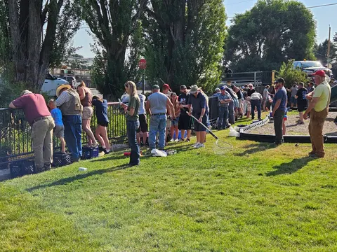 A group of people gathered along a fence on a grassy area outdoors.