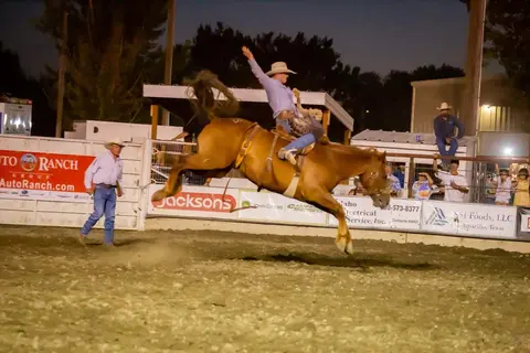 A cowboy rides a bucking horse at a rodeo event.