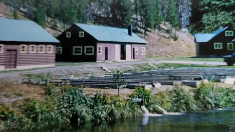 A row of wooden cabins near water and trees.
