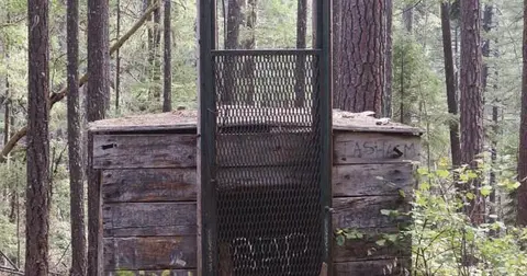 A rustic wooden outhouse in the middle of a forest.