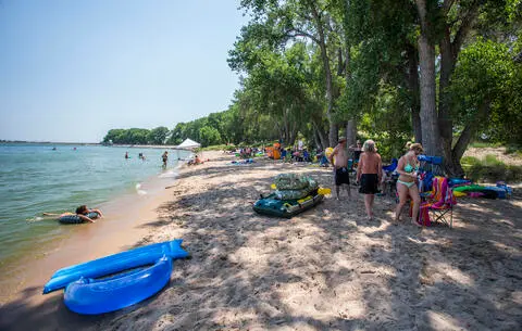 People relax and swim along a sandy beach shaded by tall trees next to a body of water.