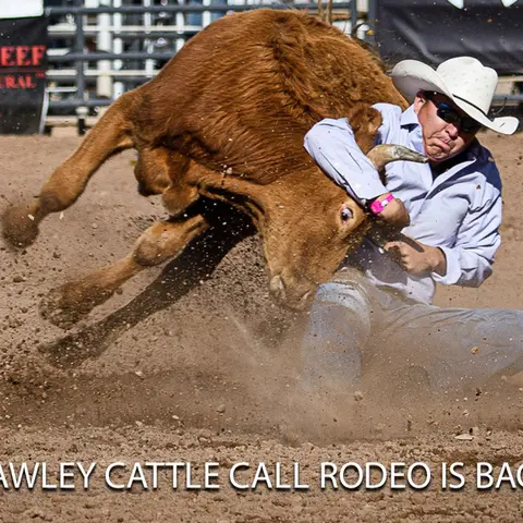 A cowboy wrestles a steer in the dirt at a rodeo.