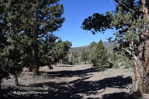 A dirt road winds through sparse trees and dry landscape under a blue sky.