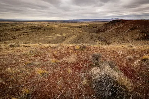 A wide-angle landscape view of a desert plain and rolling hills under an overcast sky.