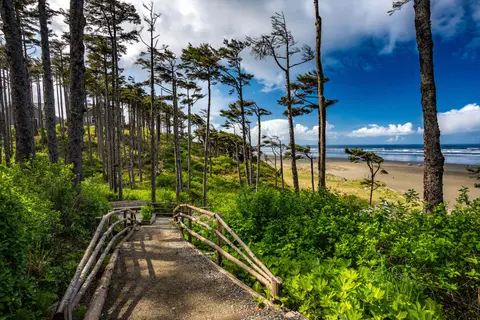 A wooden staircase leads down a green forested slope towards a sandy beach and ocean.