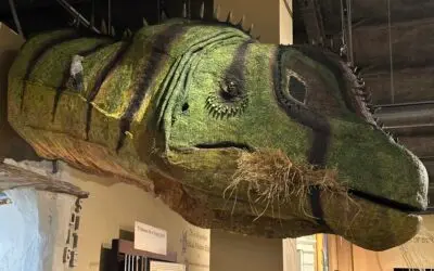 A large model of a dinosaur head is displayed indoors.