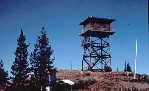 A fire lookout tower stands on a hill with pine trees.