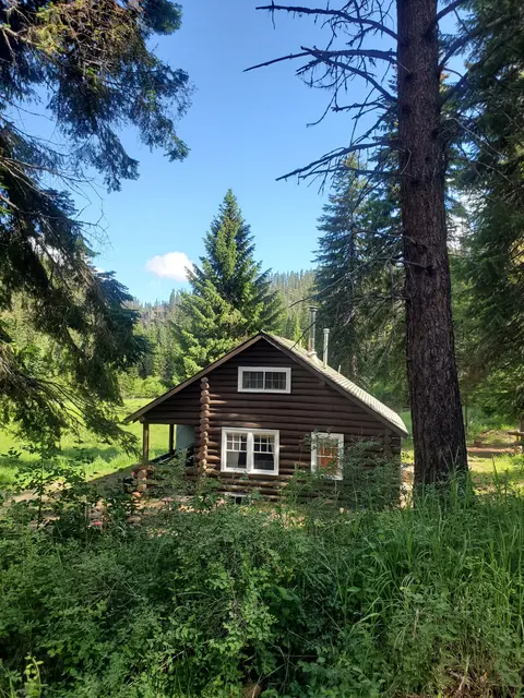 A log cabin sits in a clearing surrounded by trees and a forest.