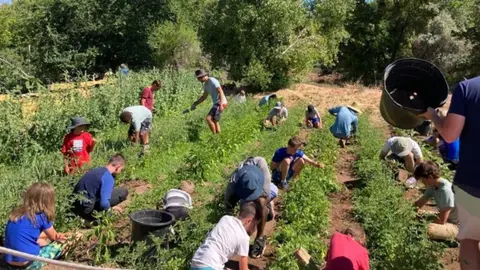 A group of people working together in a garden.