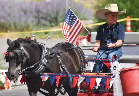 A young boy wearing a cowboy hat drives a pony hitched to a small cart adorned with flags.