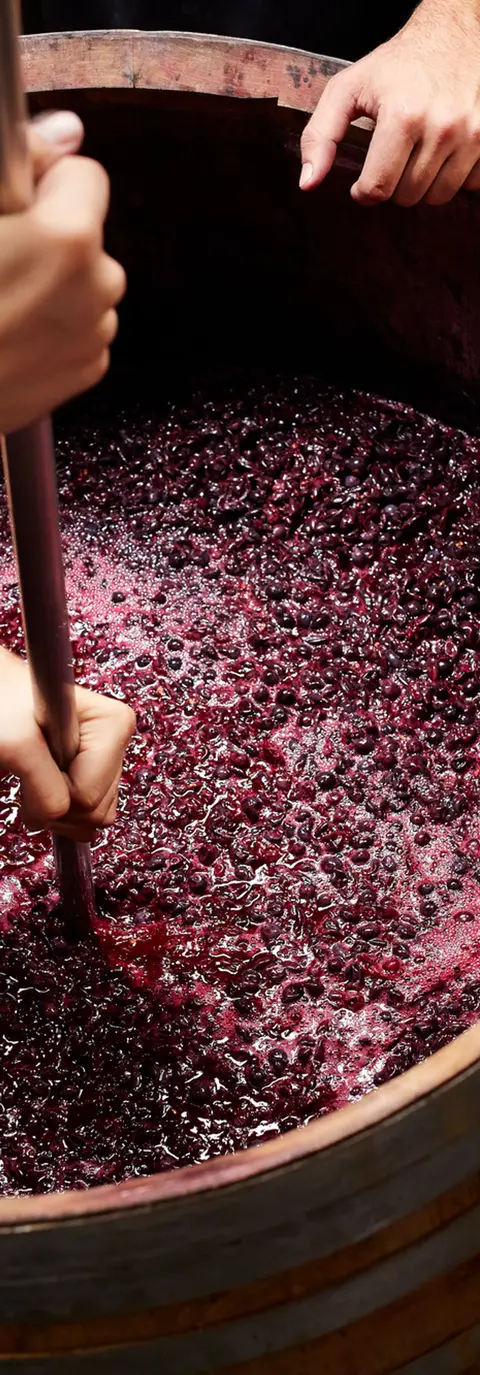 A person crushes grapes in a wooden vat.