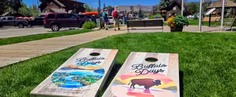 Two cornhole boards rest on grass in front of a street scene.