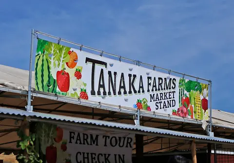 Market stand at Tanaka Farms.