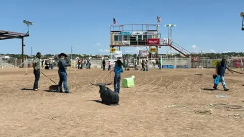 People practice roping and handle animals in an outdoor rodeo arena.