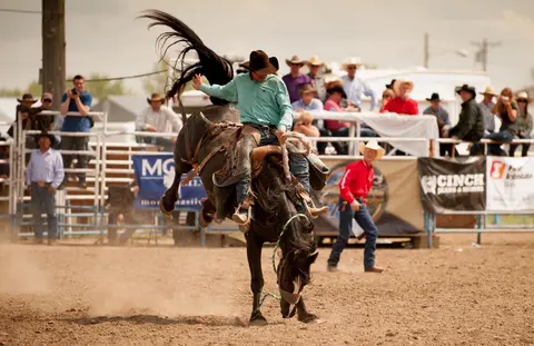 A cowboy rides a bucking horse at a rodeo.