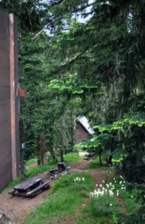 A path leads through a dense forest toward a building.
