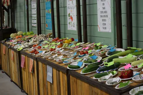 A long wooden display table features various vegetables arranged on plates with small labels.