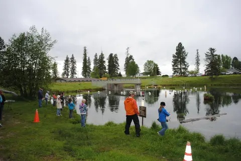 People fishing at the edge of a pond.