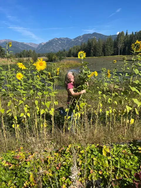 A woman smiles while holding a large sunflower in a field with mountains in the background.