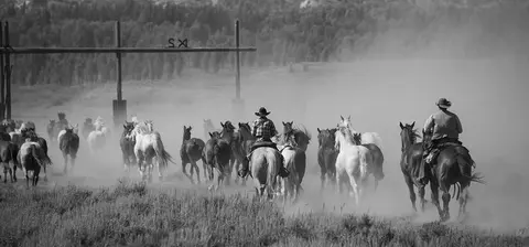 A black and white photograph of cowboys herding a group of horses through a dusty landscape.
