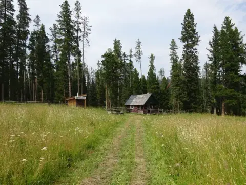 A small cabin sits in a grassy clearing surrounded by tall evergreen trees.
