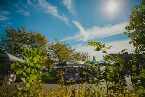 Outdoor market stalls under a bright blue sky with trees and people.