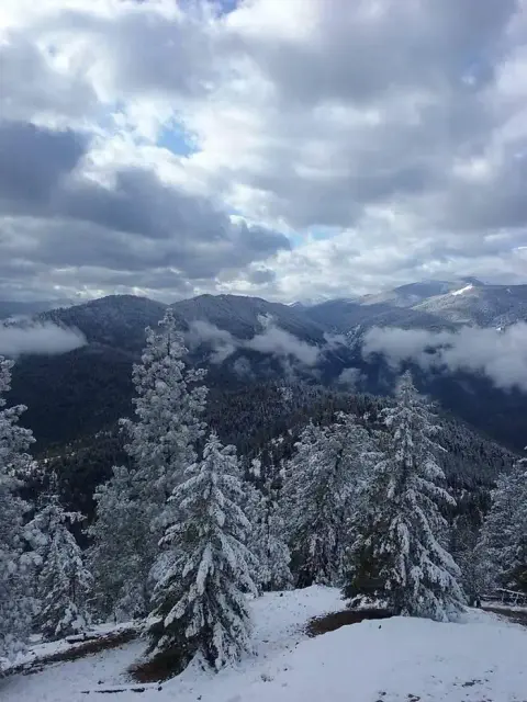 A snowy mountain landscape with frosted evergreen trees under a cloudy sky.