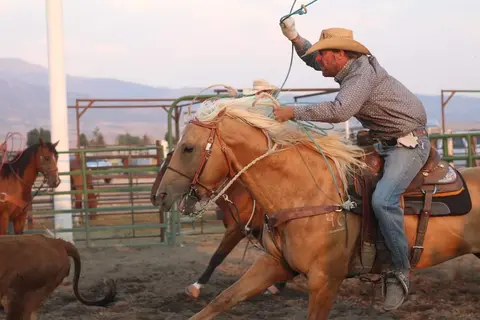 A cowboy rides a horse while holding a lasso in a rodeo arena.