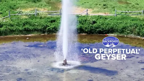 A geyser erupts in a pond with grassy banks and a wooden fence.