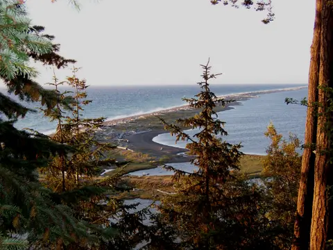 A view of a spit and the ocean seen through trees.