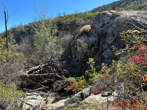 A rocky hillside with sparse vegetation, fallen trees, and a small stream in the foreground.