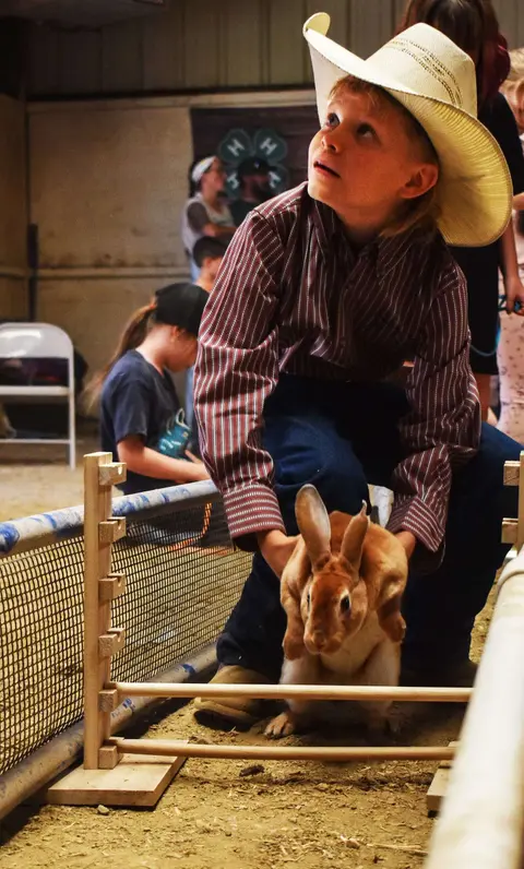 A young boy wearing a cowboy hat holds a rabbit in an indoor arena.