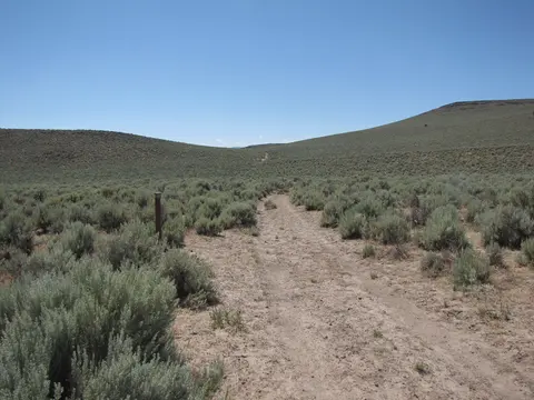 Dirt track along the Surprise Valley Byway.