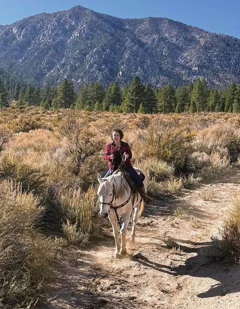 A person rides a white horse on a trail through a landscape with brush and mountains.